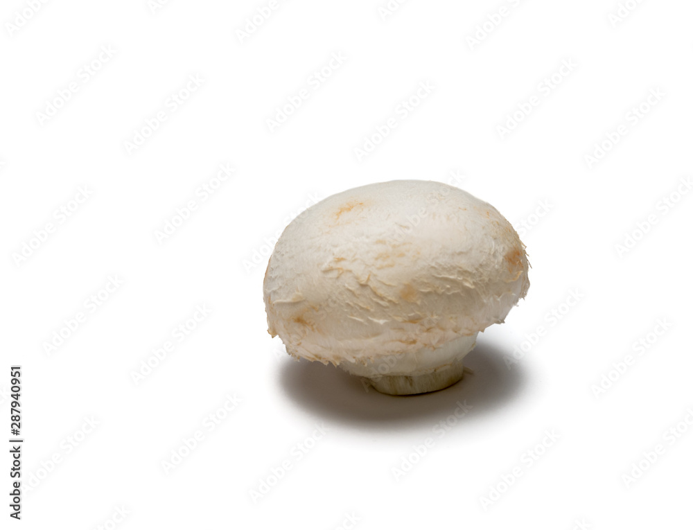 One white button mushroom isolated on white. One white button mushroom isolated on white.