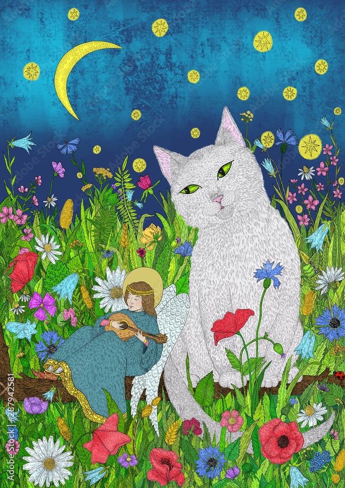 Obraz Cat and angel. Wildflowers. Night. Digital illustration.