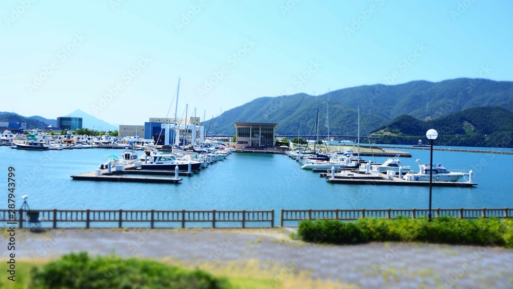 Fototapeta premium OLYMPUS DIGITAL CAMERA