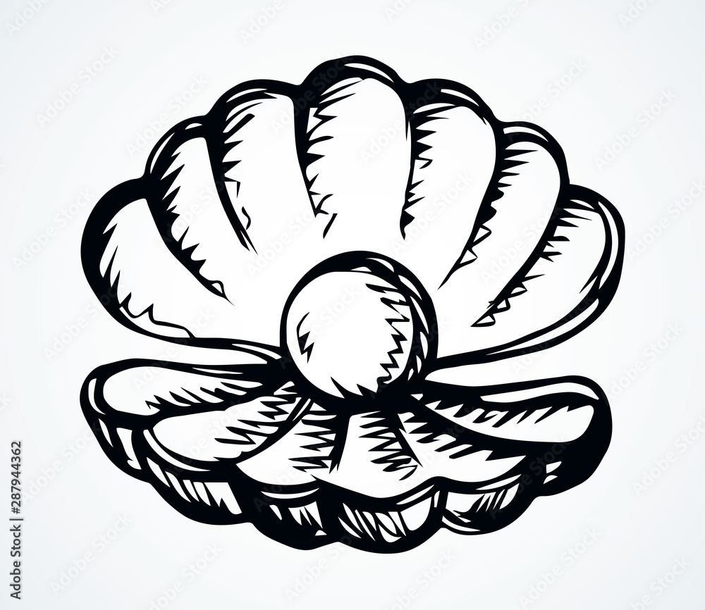 Shell with a pearl. Vector drawing Shell with a pearl. Vector drawing