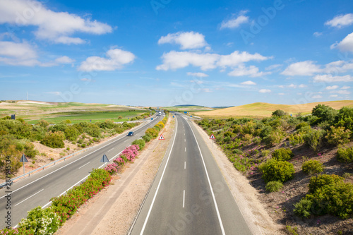 colorful spring time landscape with rural highway in nature, endless until horizon with blue sky and clouds, in Cadiz (Andalusia, Spain, Europe)