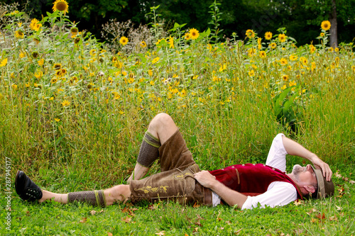 bavarian man lying at field of sunflowers and sleeping