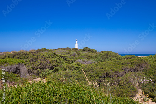 lighthouse of Trafalgar Cape over green shrubs plants, next to Canos Meca (Barbate, Cadiz, Andalusia, Spain)