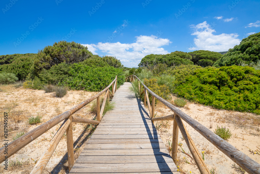 scenery of footbridge with wooden planks to the forest in Natural Park of Trafalgar Cape, next to Canos Meca village (Barbate, Cadiz, Andalusia, Spain)