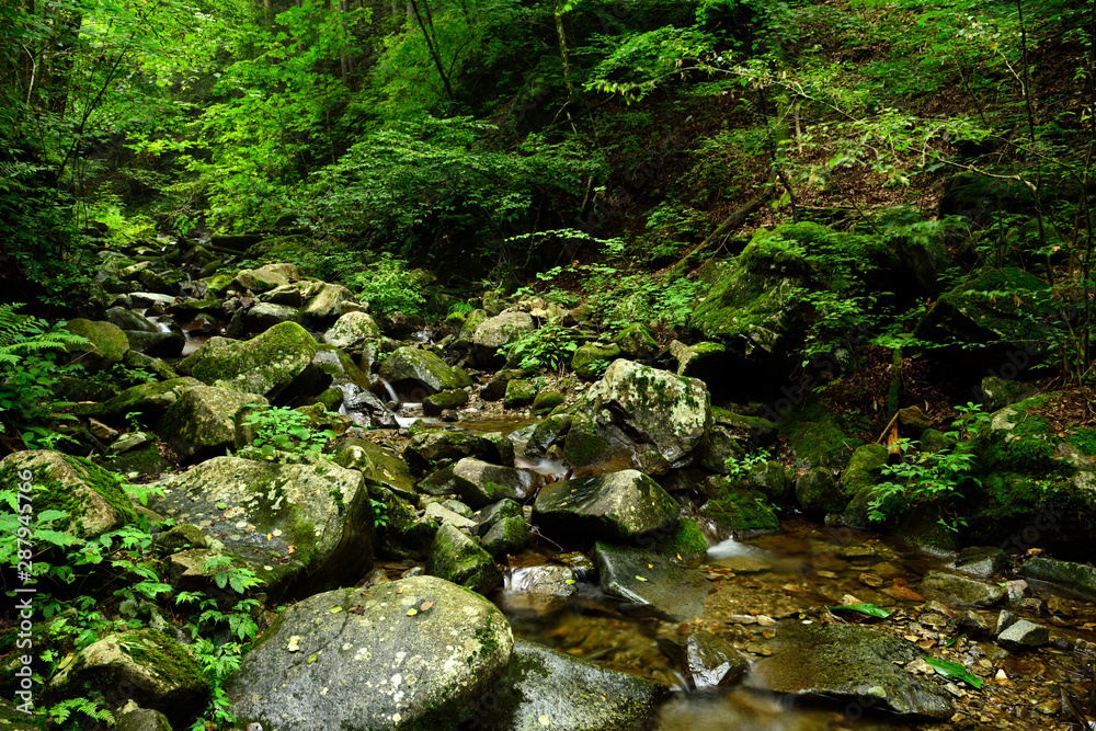 This is a natural scenery photo of Japan This is a natural scenery photo of Japan