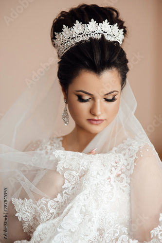 Beauty portrait of young bride. Perfect makeup and hairstyle. Wedding. Portrait of the bride. Bride with accessories. Preparing the bride for the upcoming wedding.