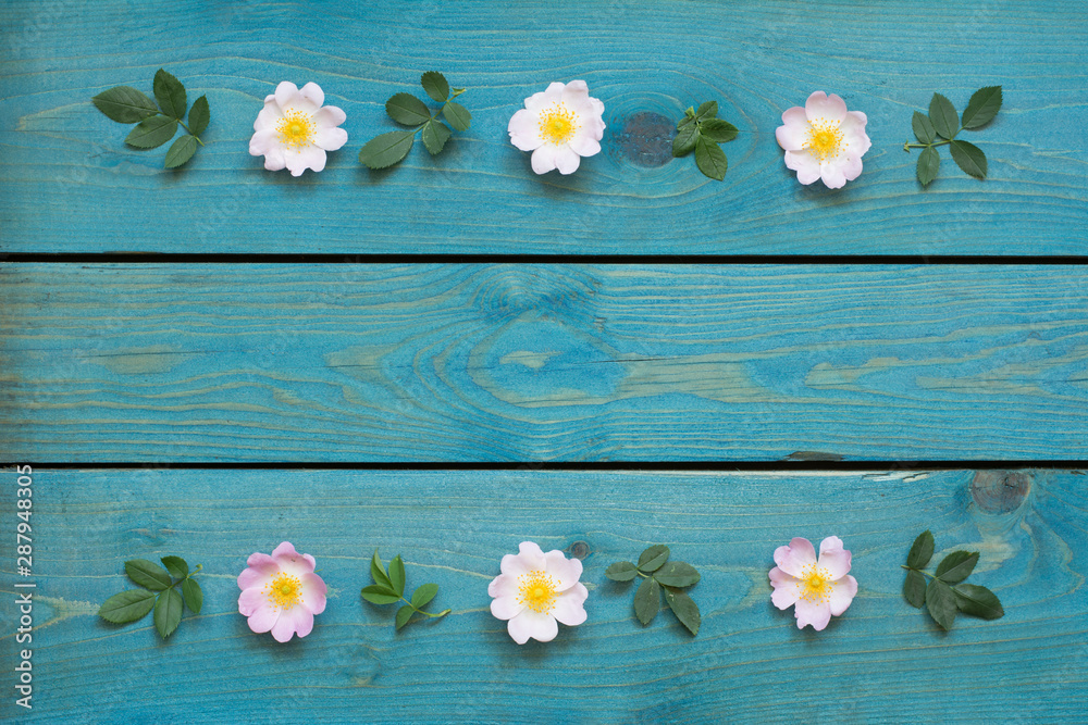 Obraz premium Greeting card border with pink rose flowers, petals and leaves on blue wooden boards