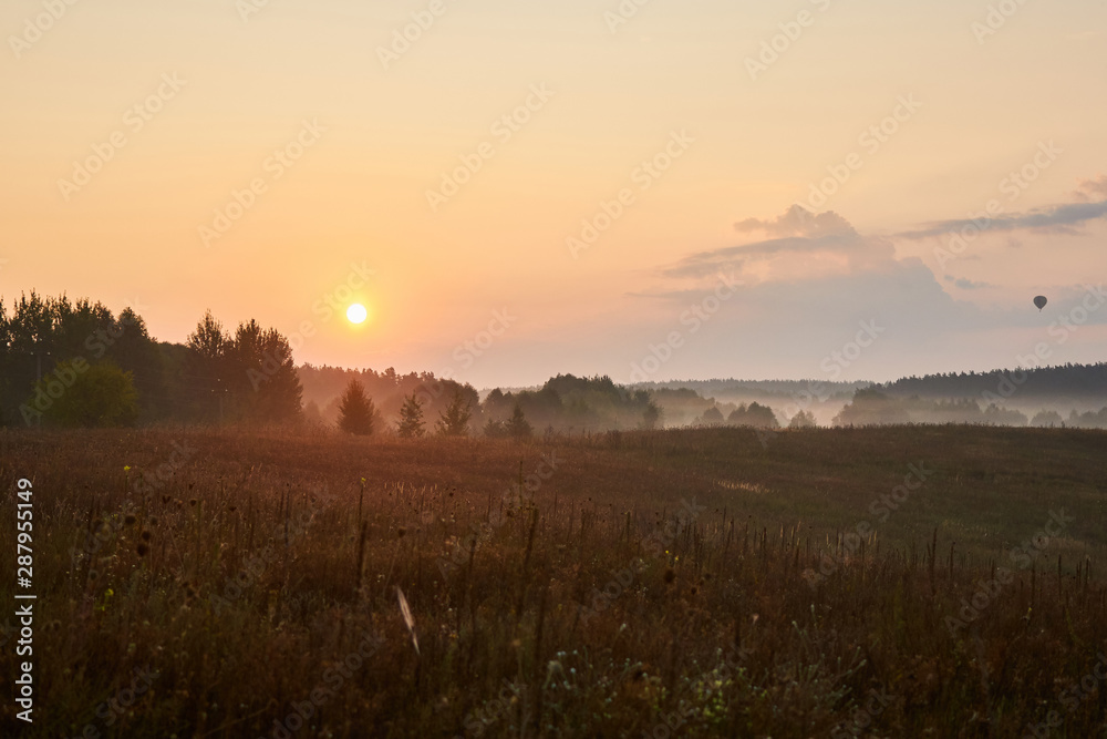 A field with dense fog that lies in a lowland.
