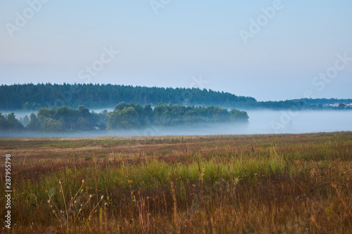 A field with dense fog that lies in a lowland.