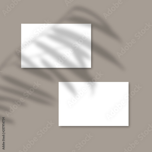 Shadow Overlay Plant Vector Mockup horizontal business Card. Vector Realistic shadows overlays leaf on grey background. Template Flyer, Card, blank, social media post, logo in minimal trendy style.