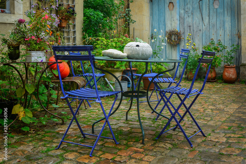 Garden decorated with autumn flowers, pumpkins, plants photo