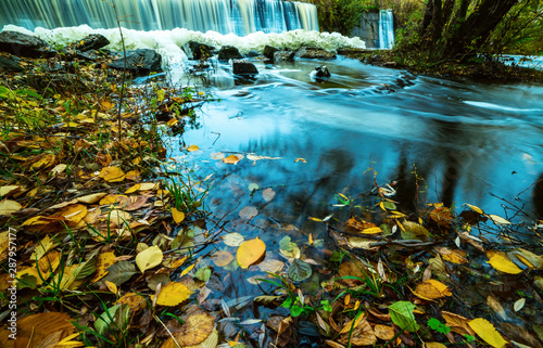 Fototapeta Naklejka Na Ścianę i Meble -  Autumn river and waterfalls, fallen yellow leaves in the water of the backwater. Autumn view of the lake.