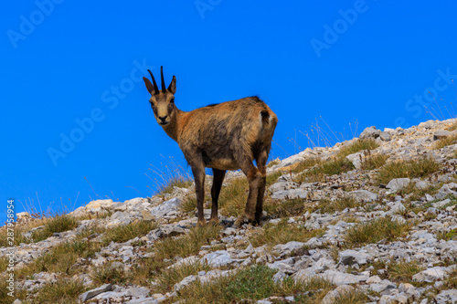 Olymp mountain. Tracking views on the way to Skolio and Mitikas summits photo