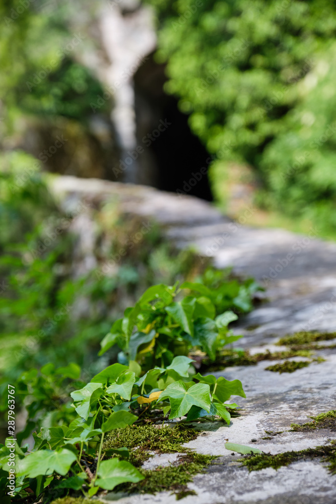 Monastery Saeben South Tirol