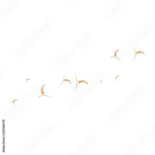 Agriculture wheat Logo Template vector icon design 