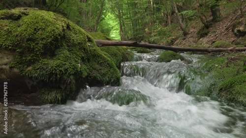 Spring rill flow into canyon. Green forest and clean water in river. Nature composition.