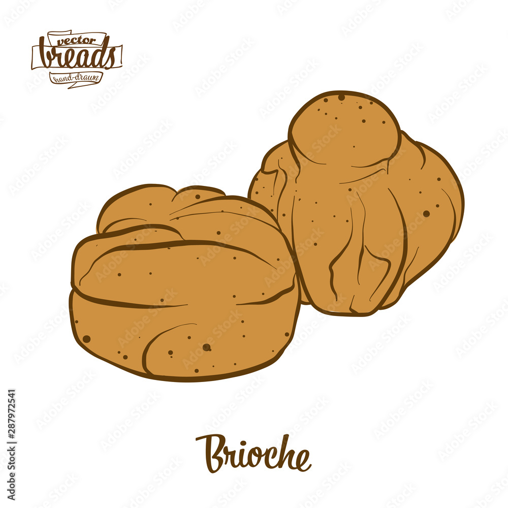 Colored drawing of Brioche bread Colored drawing of Brioche bread