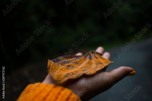 Leaf hand woman orange