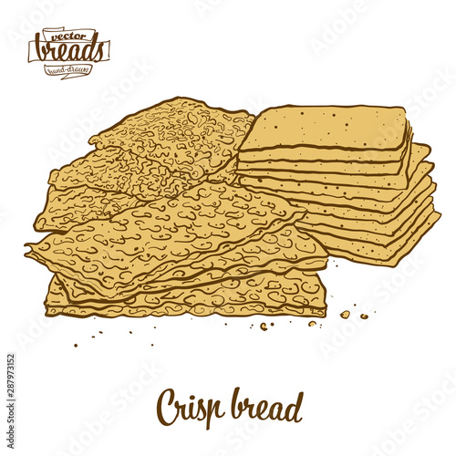 Colored drawing of Crisp bread bread