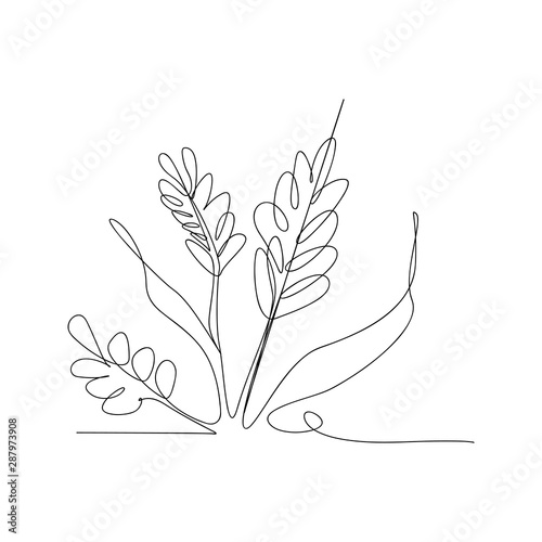 continuous line drawing of rice ears and grains. isolated sketch drawing of rice ears and grains line concept. outline thin stroke vector illustration