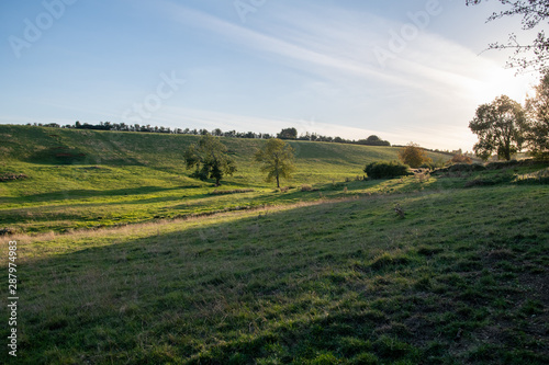 Evening views of fields and trees in the early autumn near Shenington, Oxfordshire