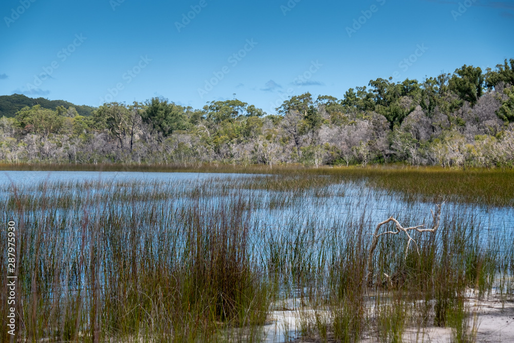 Lake Boomajin on Fraser Island Queensland on a clear sunny day with white clouds Lake Boomajin on Fraser Island Queensland on a clear sunny day with white clouds
