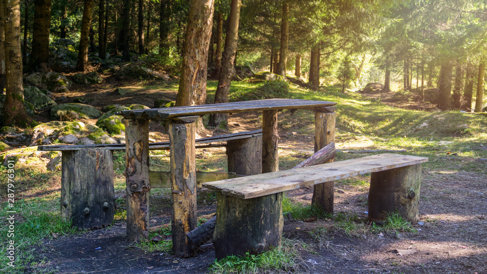 Summer forest sunshine picnic wooden table and bench relaxation Summer forest sunshine picnic wooden table and bench relaxation