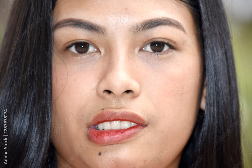 A Smirking Attractive Female A Smirking Attractive Female