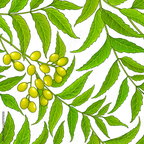 neem vector pattern