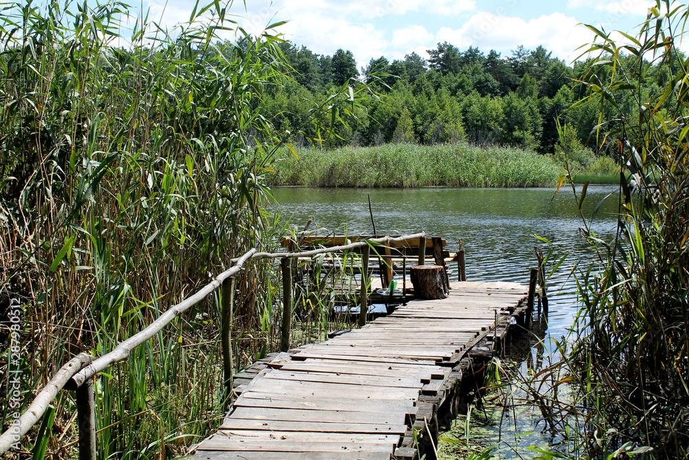 Naklejka premium summer