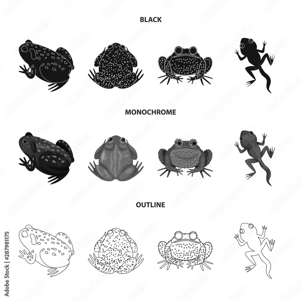 Isolated object of wildlife and bog symbol. Set of wildlife and reptile stock symbol for web. Isolated object of wildlife and bog symbol. Set of wildlife and reptile stock symbol for web.