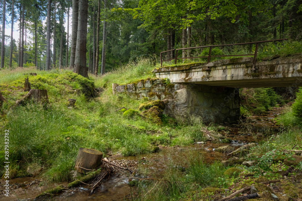 Abandoned bridge at Poland forest