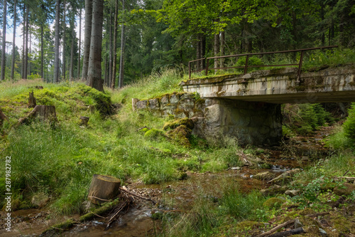 Obraz na płótnie Abandoned bridge at Poland forest w salonie