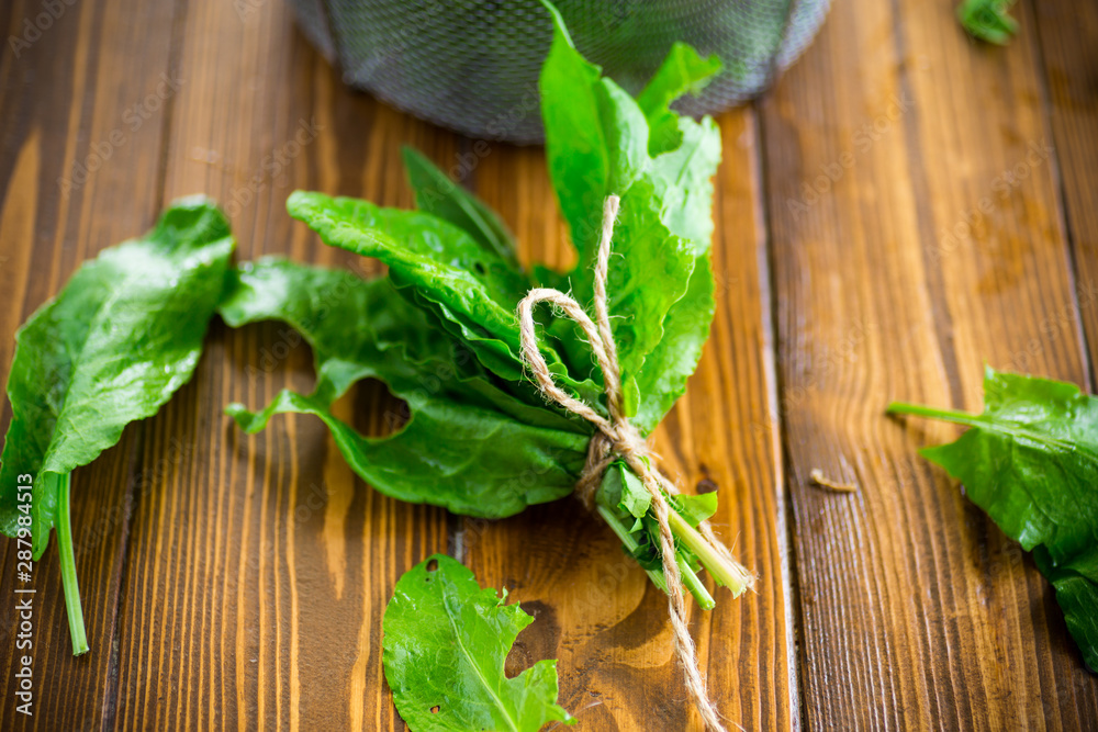 bunch of organic fresh green sorrel, on a table. bunch of organic fresh green sorrel, on a table.