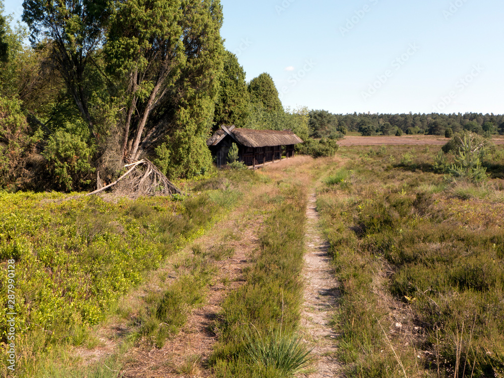 Wanderung durch die Lüneburger Heide auf dem Heidschnuckenweg.
