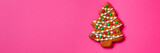 gingerbread  (festive atmosphere christmas) happy new year. top food background. copy space