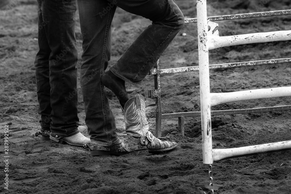 Two pair of male jean clad legs with one foot putting on a cowboy boot Two pair of male jean clad legs with one foot putting on a cowboy boot