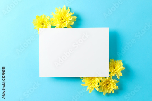 Yellow chrysanthemums and empty space on blue background, top view