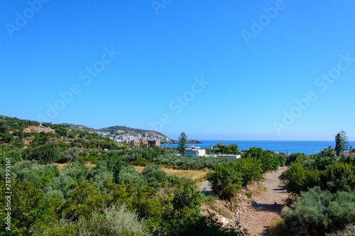 the view from the hill to the olive groves, the Greek village, the Bay and the Mediterranean sea