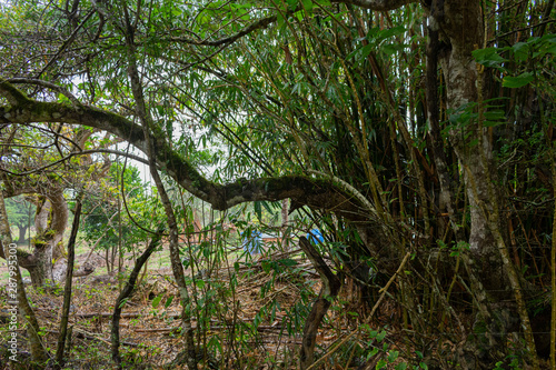 Floreana Island - Galapagos