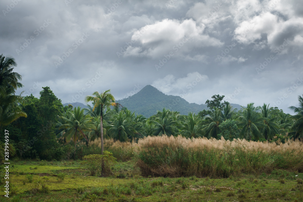 Fototapeta premium Philippines. Beautiful landscapes of the islands.