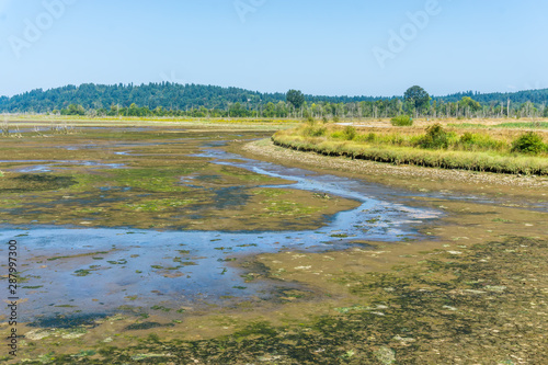 Nisqually Wetlands Mud Flats