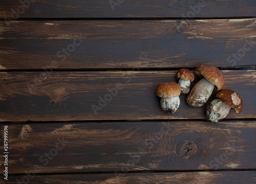 fresh mushrooms on wooden surface