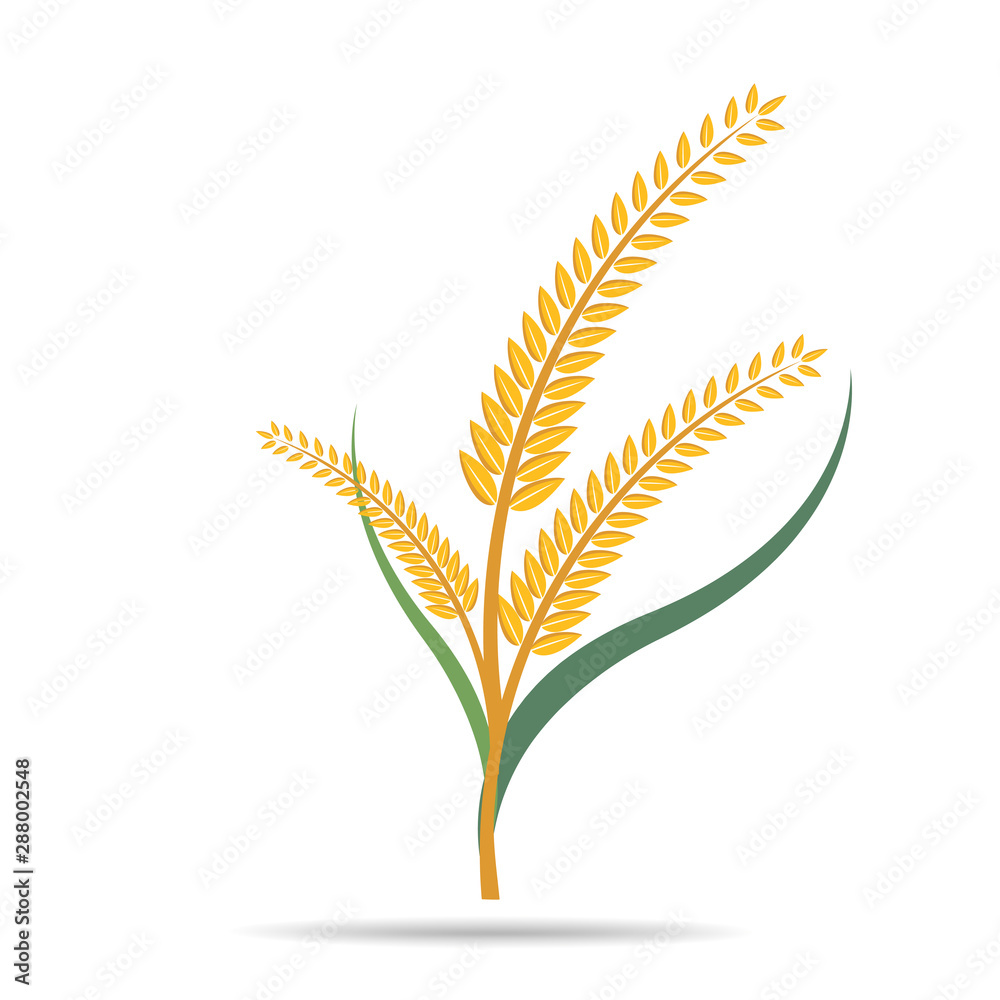 wheat on white and text, agricultural vector illustration wheat on white and text, agricultural vector illustration