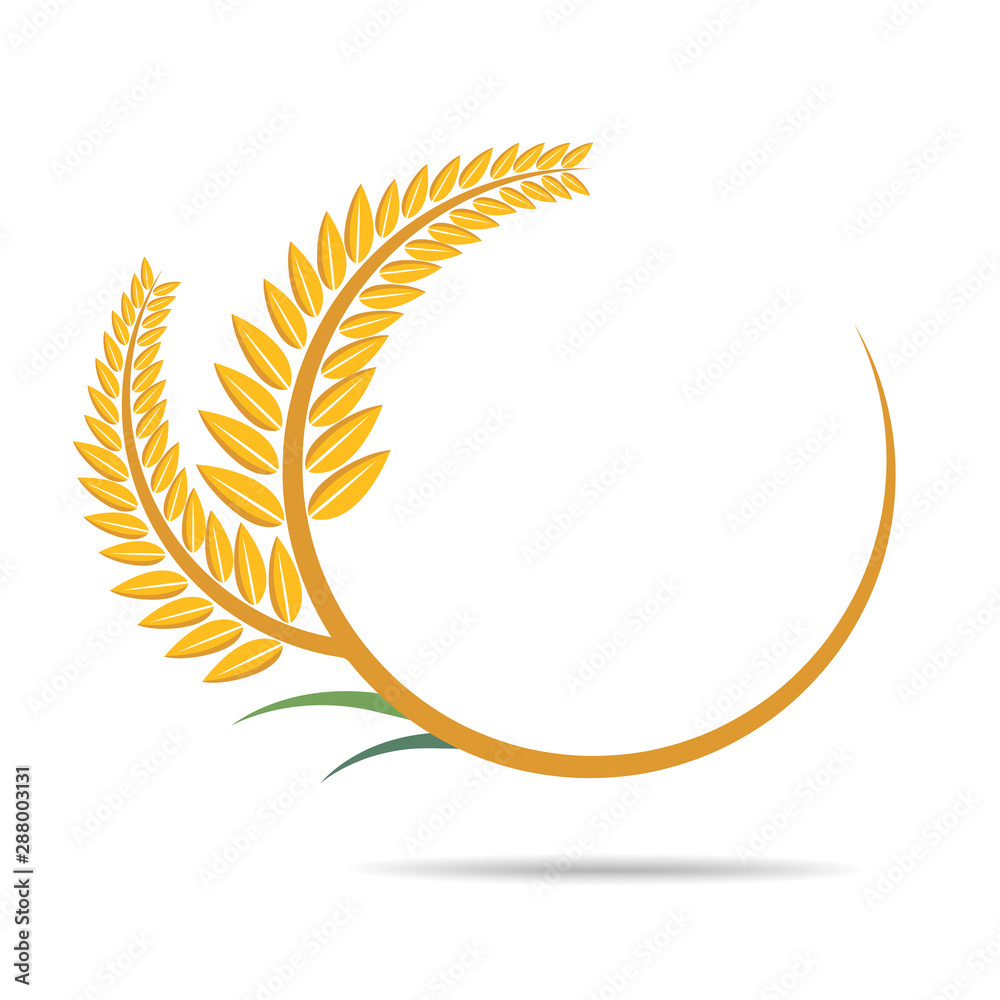 wheat on white and text, agricultural vector illustration wheat on white and text, agricultural vector illustration