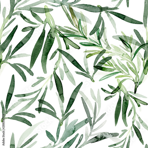 Rosemary watercolor pattern