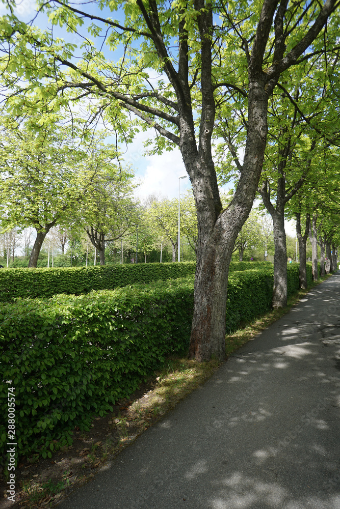 Well maintained park for recreation for all open in Germany