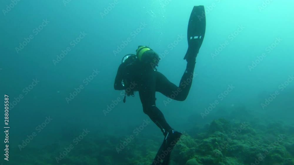 Divers underwater swimming in the sea Divers underwater swimming in the sea