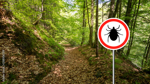 Tick insect warning sign in infected forest. Lyme disease and meningitis transmitter.