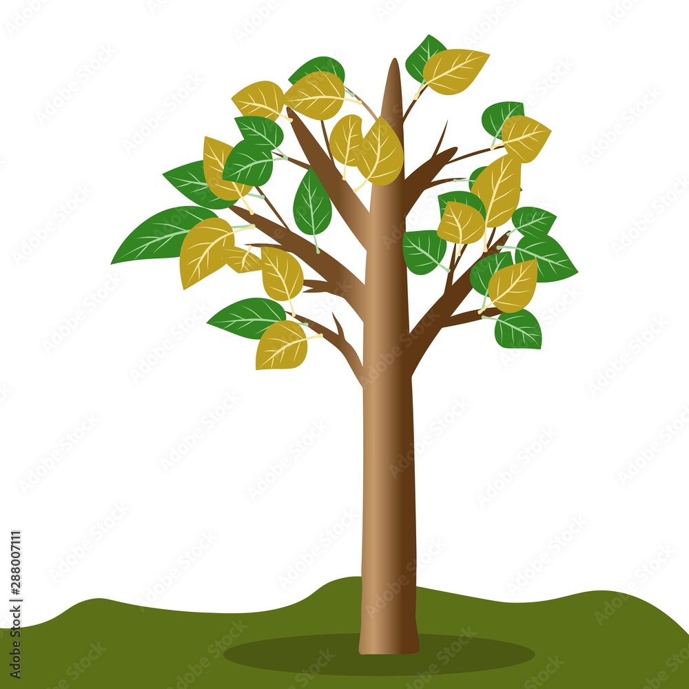 Fototapeta premium isolated cartoon tree with a huge leaves, vector illustration for props